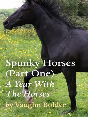 cover image of Spunky Horses (Part One)--A Year With the Horses